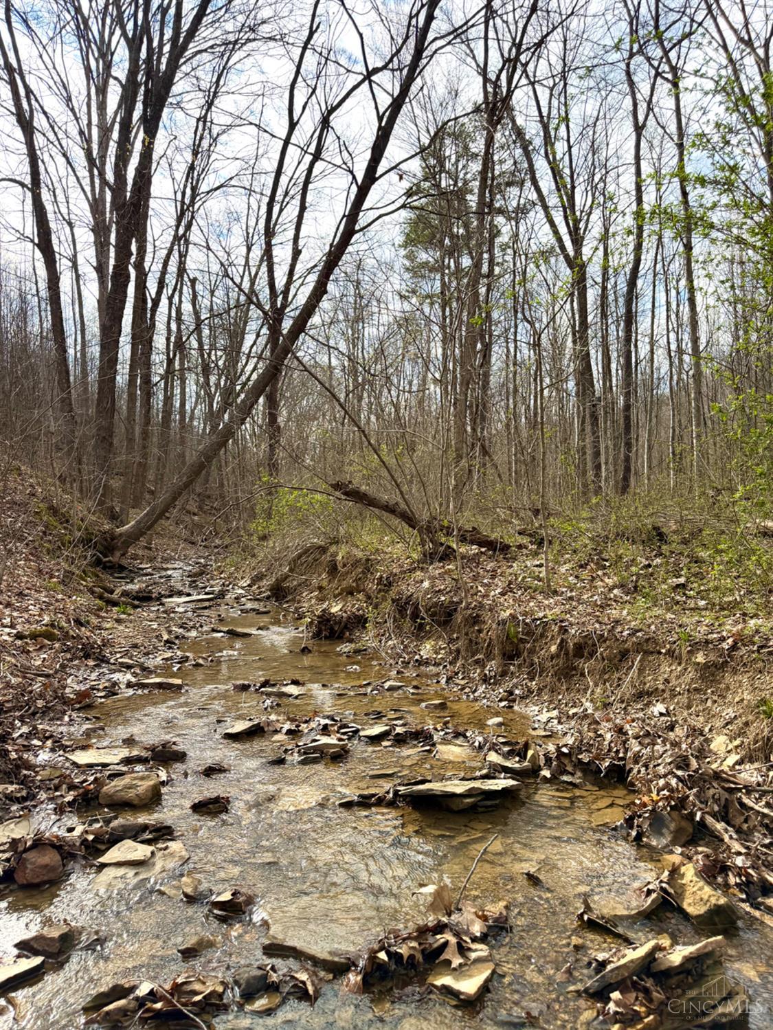 0 Fyffe Hollow Road Chillicothe, OH 45601 - Photo 69 of 96