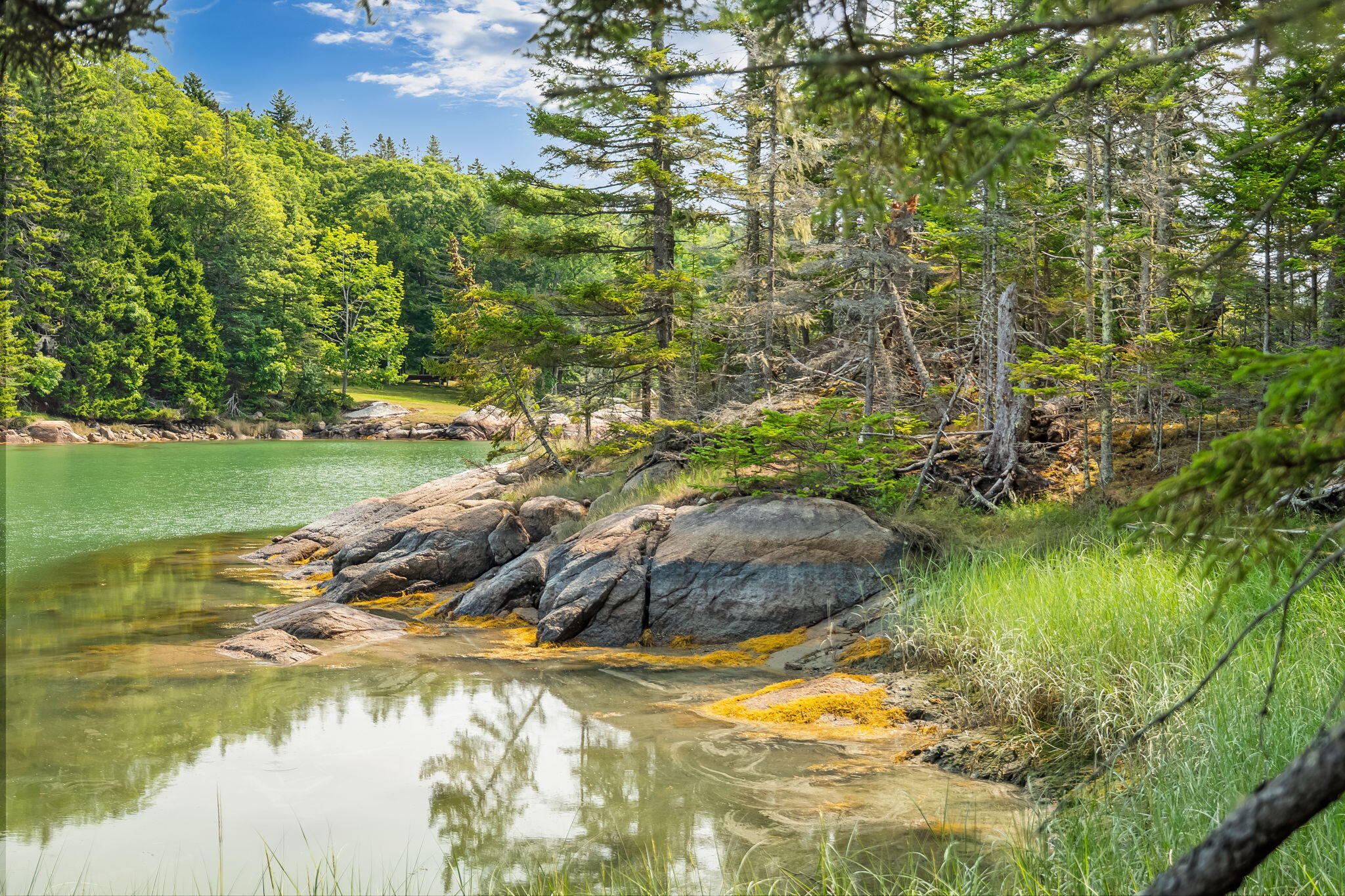 18-2 Merchant Point Road Deer Isle, ME 04627 - Photo 6 of 51 22-web-or-mls-merchants-point-dr