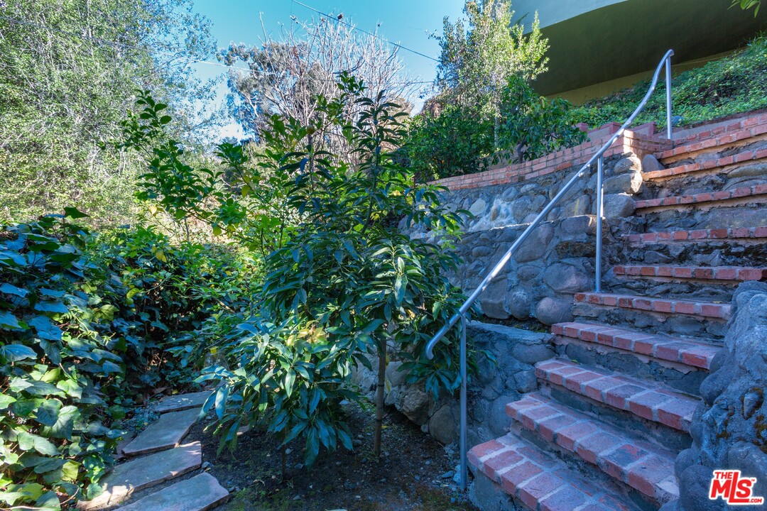 491 Mesa Road Santa Monica, CA 90402 - Photo 19 of 24 a backyard of a house with lots of green space