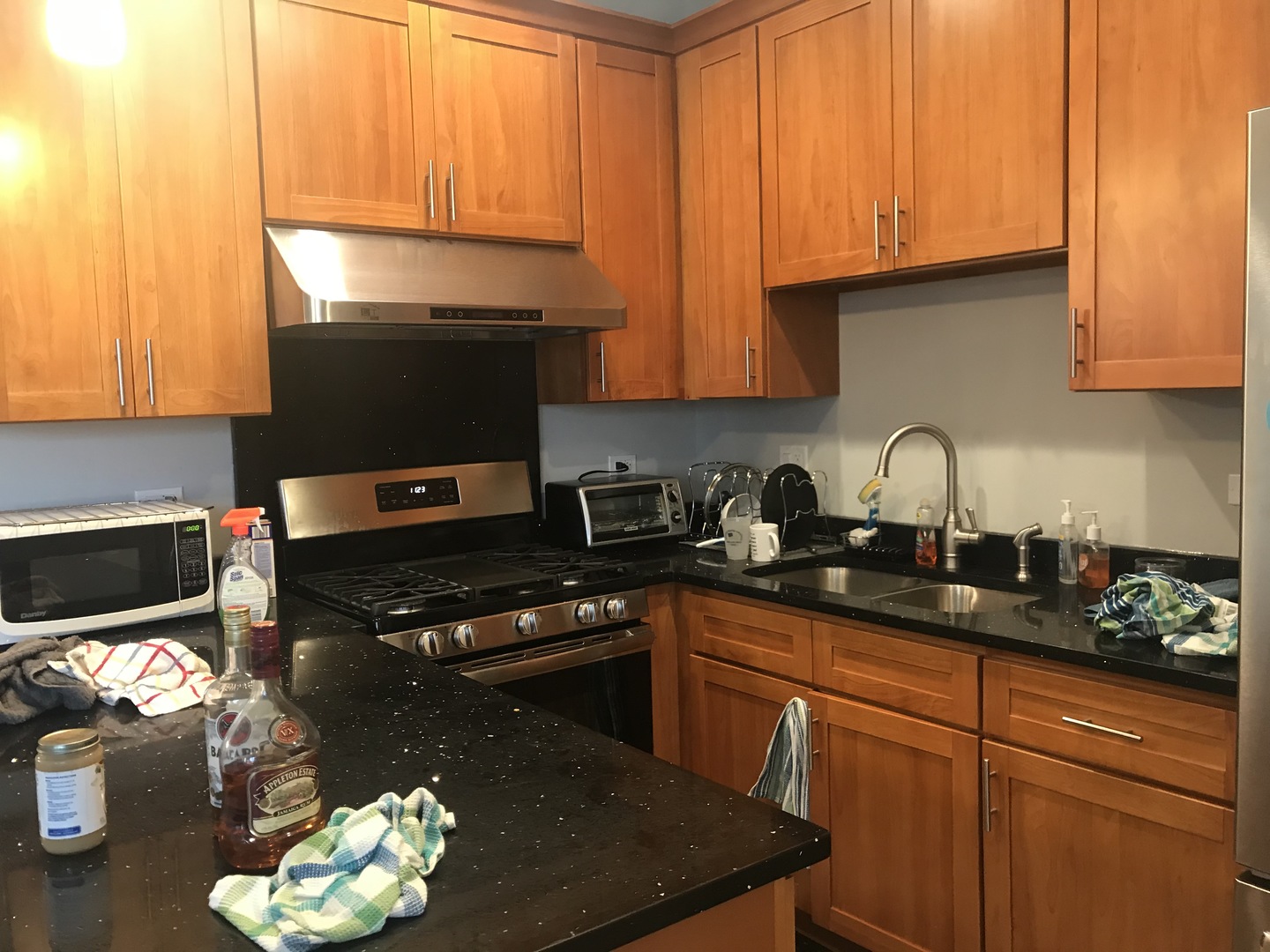 1119 South Loomis Street, Unit 201C Chicago, IL 60607 - Photo 11 of 13