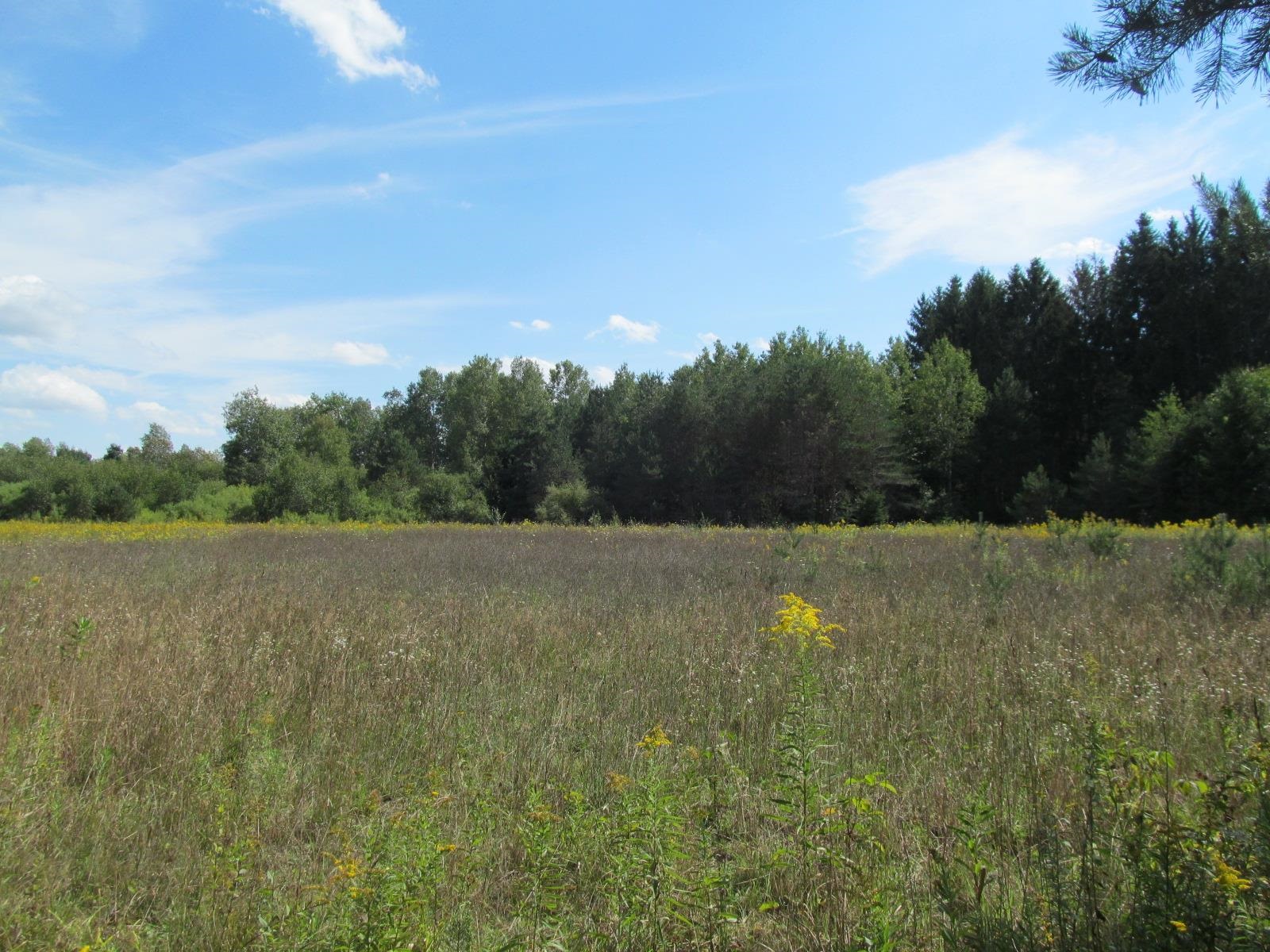 5981 North 41 1/2 Road Manton, MI 49663 - Photo 63 of 69