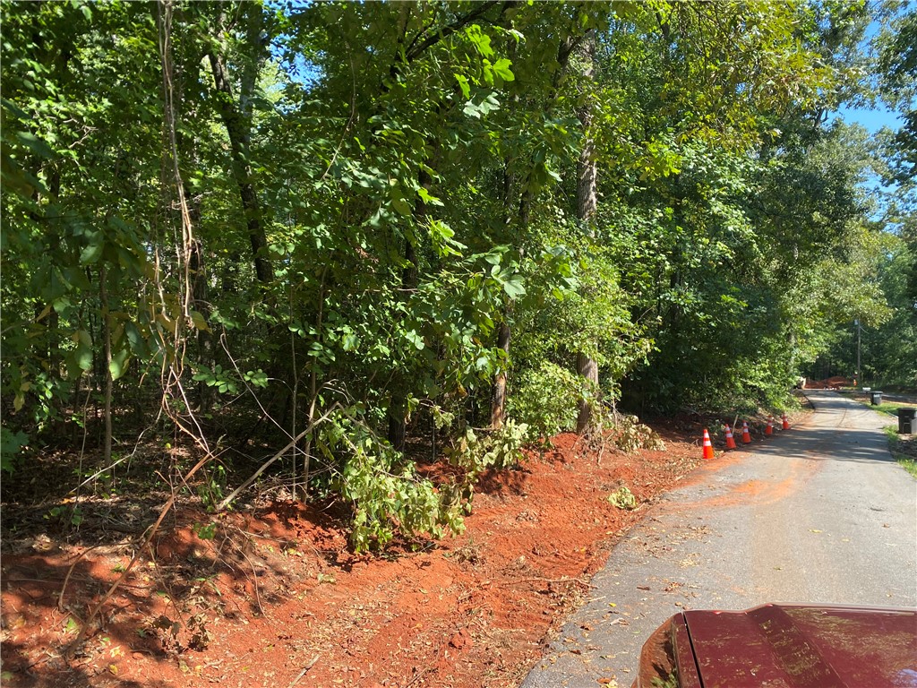 0 Guest Circle Anderson, SC 29621 - Photo 4 of 6 Mature trees border a quiet paved roadway winding past this wooded homesite.