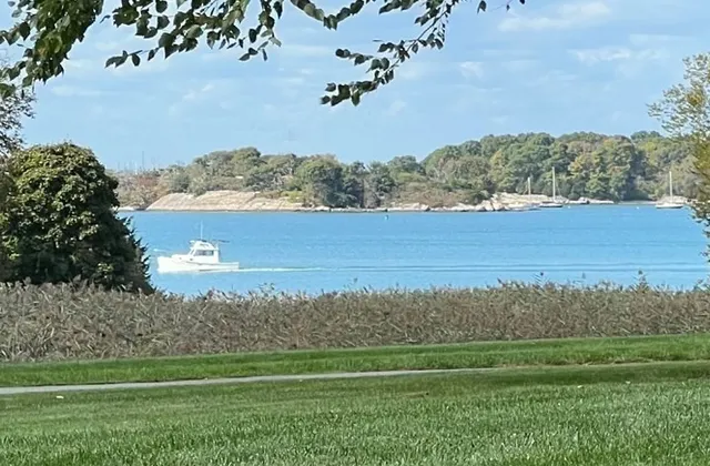 a view of a yard with an outdoor space