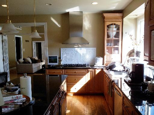 37W201 Red Gate Road St. Charles, IL 60175 - Photo 4 of 9