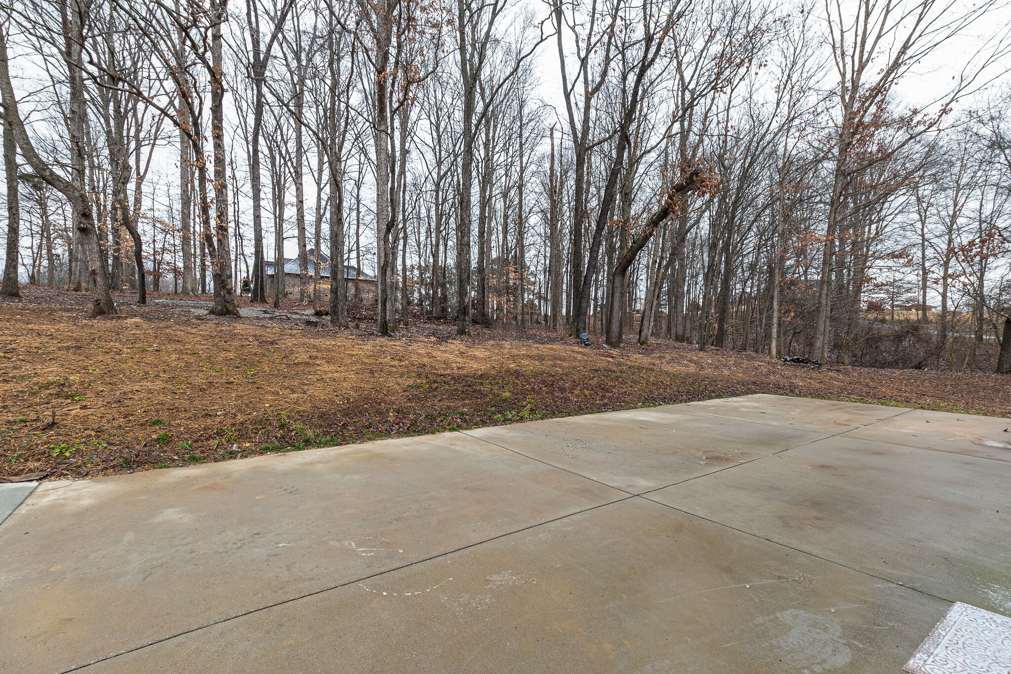 113 Lear Road Portland, TN 37148 - Photo 25 of 28 a view of a yard with trees in front of it