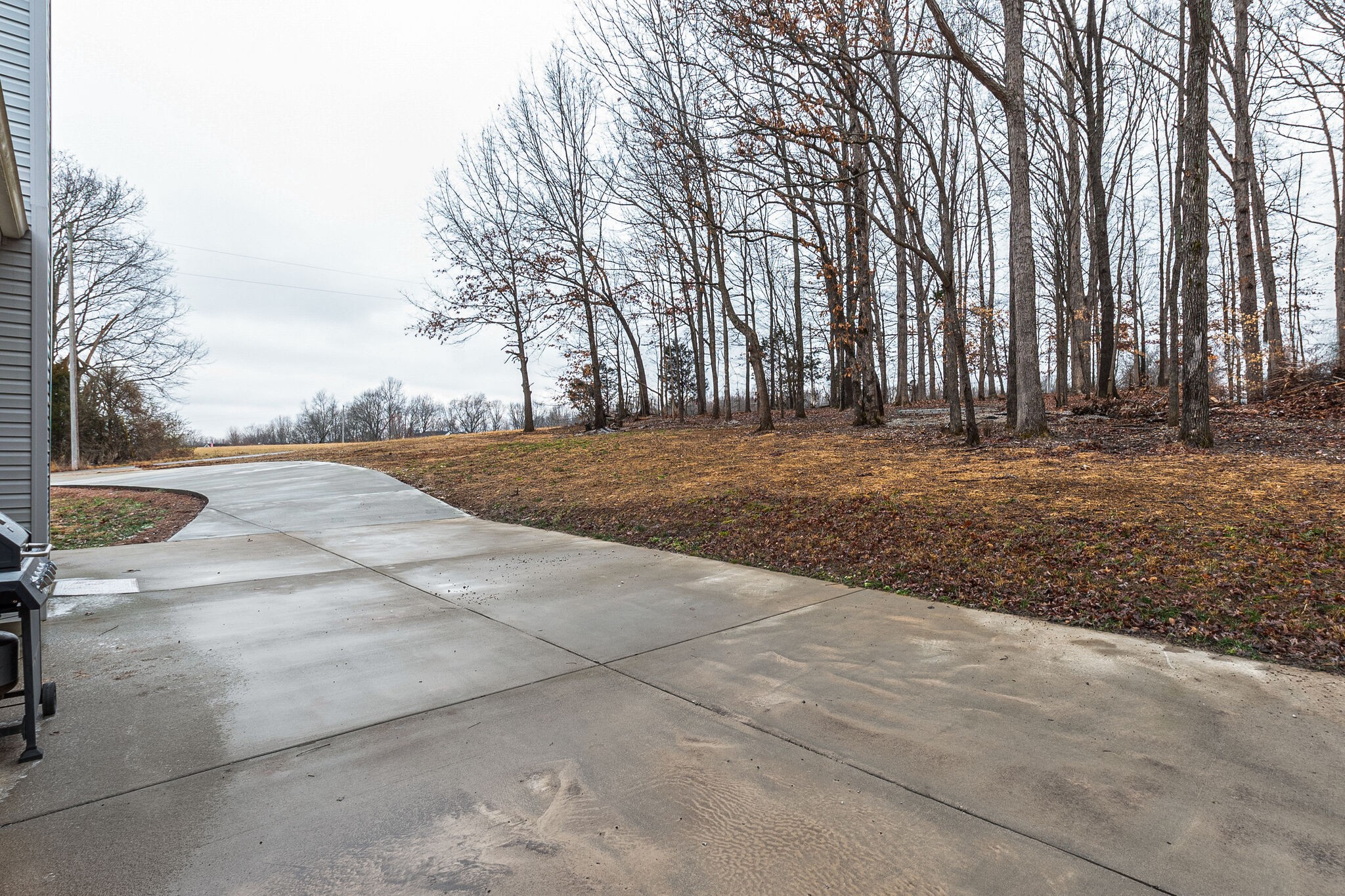 113 Lear Road Portland, TN 37148 - Photo 26 of 28 a view of yard with trees