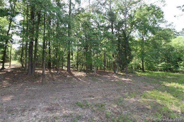 337 Rattlesnake Road, Unit 11 Ridgeway, SC 29130 - Photo 6 of 12 a view of a forest with trees in the background