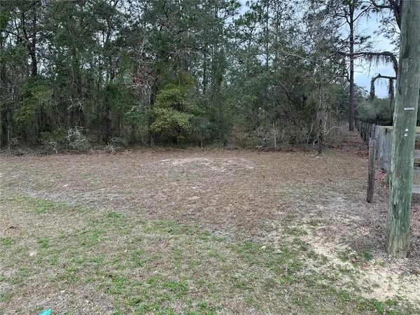 a view of a yard with trees
