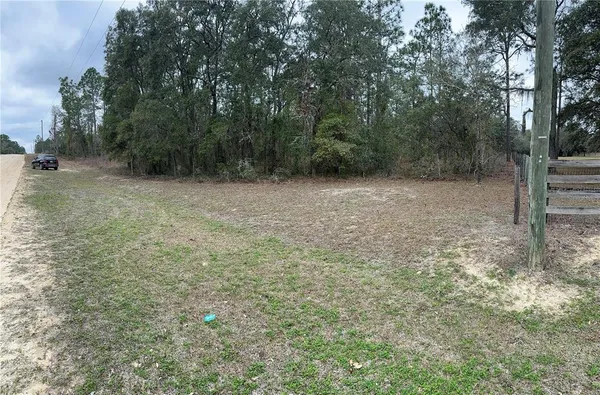 a view of a yard with a tree