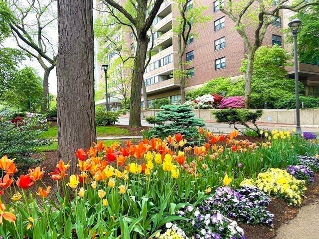 a view of a flower in a garden
