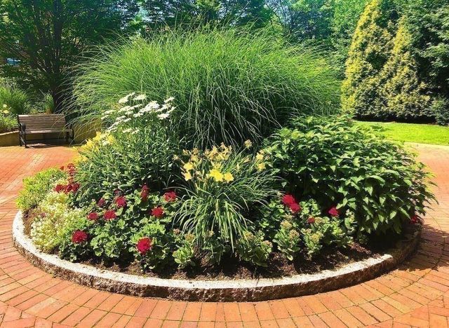 a view of a garden with a flower in a garden