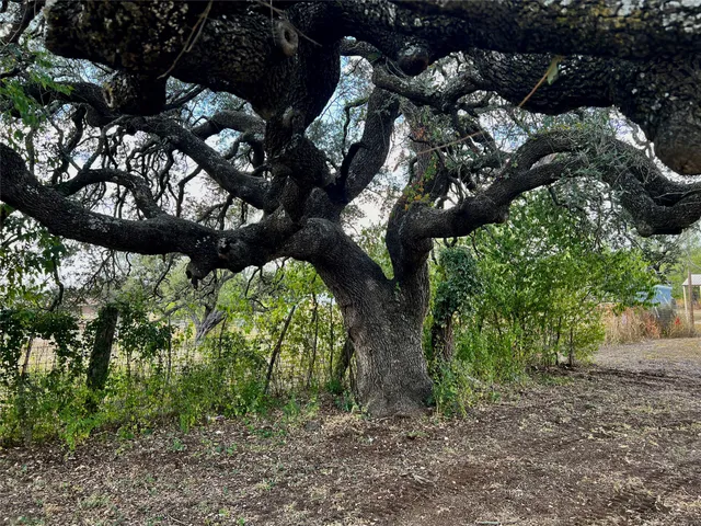 $1,400 | 305 Hall Street, Richland Springs, TX 76871