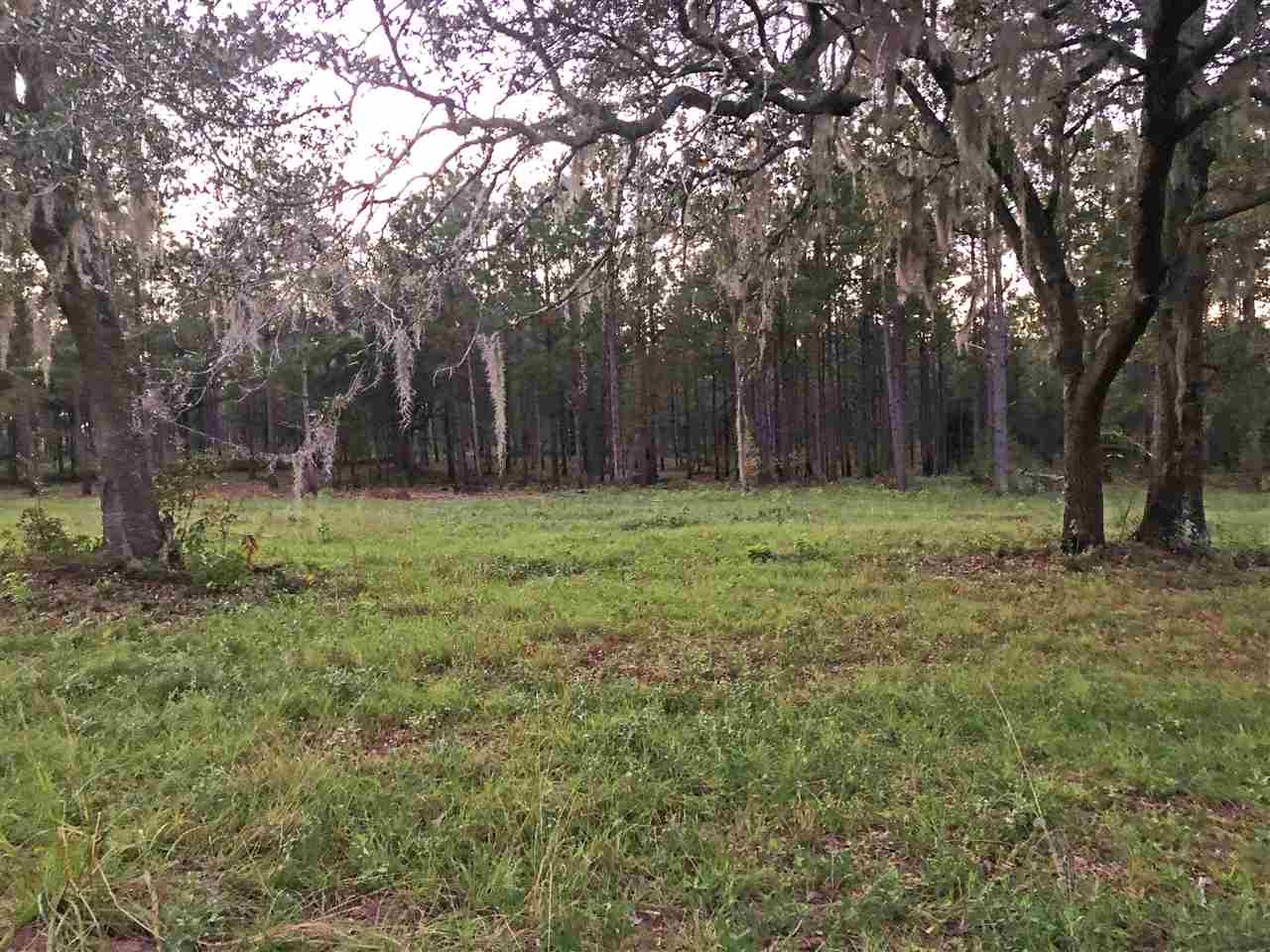 Xxx North Gilley Road Madison, FL 32340 - Photo 1 of 4 Gallery Image 1