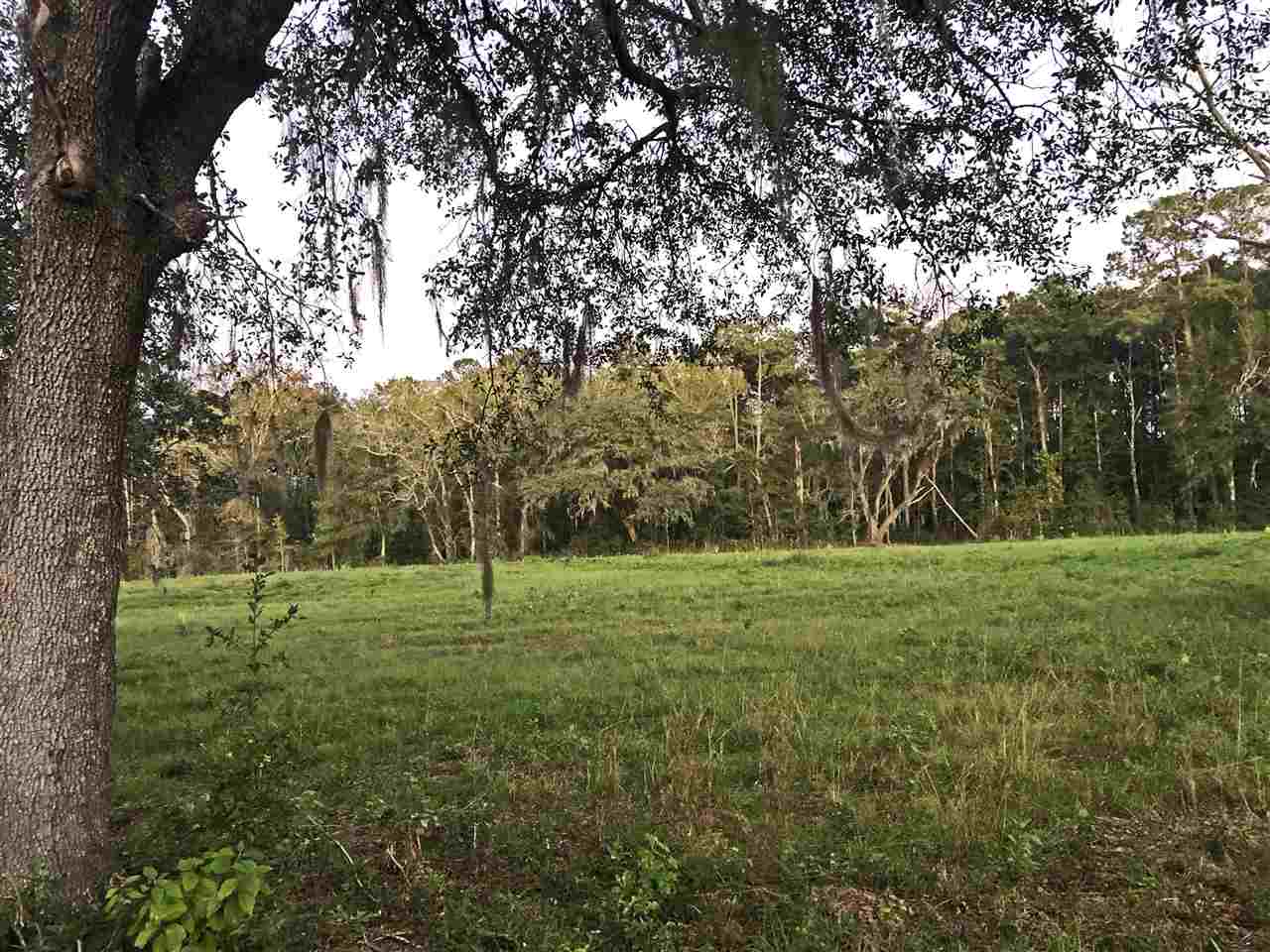 Xxx North Gilley Road Madison, FL 32340 - Photo 4 of 4 Gallery Image 4