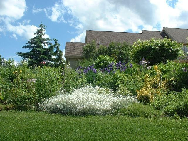1844 Chicory Ridge Ann Arbor, MI 48103 - Photo 39 of 39 Photo 39