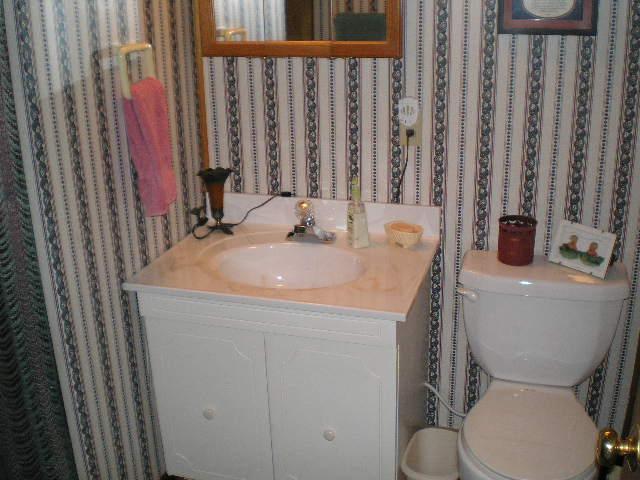 1181 Chestnut Fork Road Bedford, VA 24523 - Photo 16 of 22 Main level full bathroom