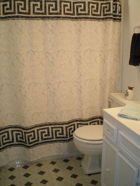 1181 Chestnut Fork Road Bedford, VA 24523 - Photo 17 of 22 Lower level full bathroom
