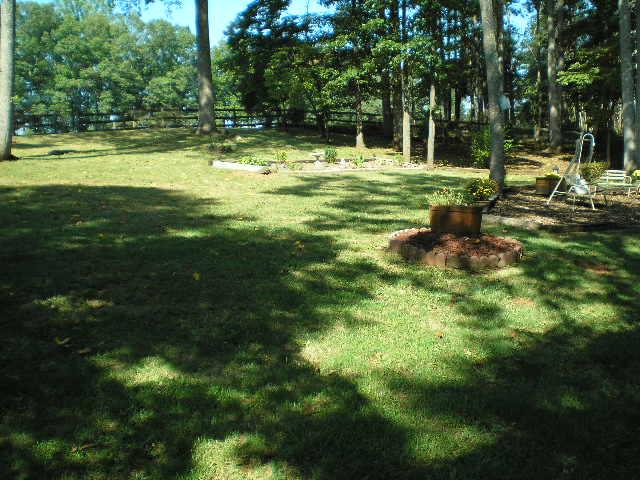 1181 Chestnut Fork Road Bedford, VA 24523 - Photo 20 of 22 Side Yard