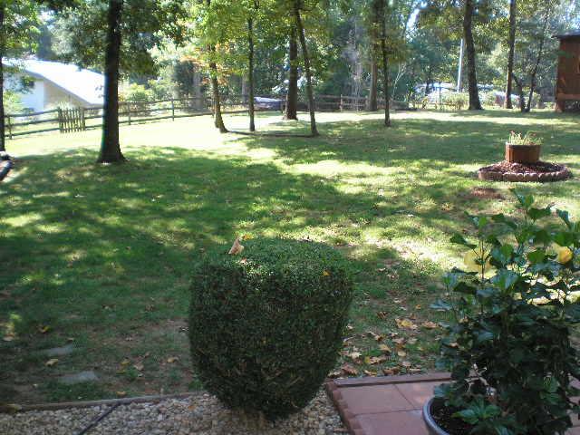 1181 Chestnut Fork Road Bedford, VA 24523 - Photo 21 of 22 Back Yard
