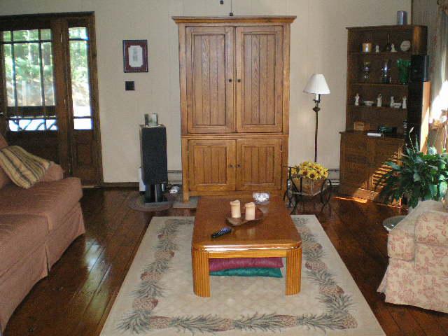 1181 Chestnut Fork Road Bedford, VA 24523 - Photo 7 of 22 Living room
