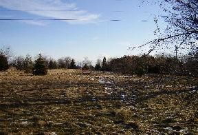 8774 South Lake Shore Road Harbor Beach, MI 48441 - Photo 1 of 7 908512.JPG
