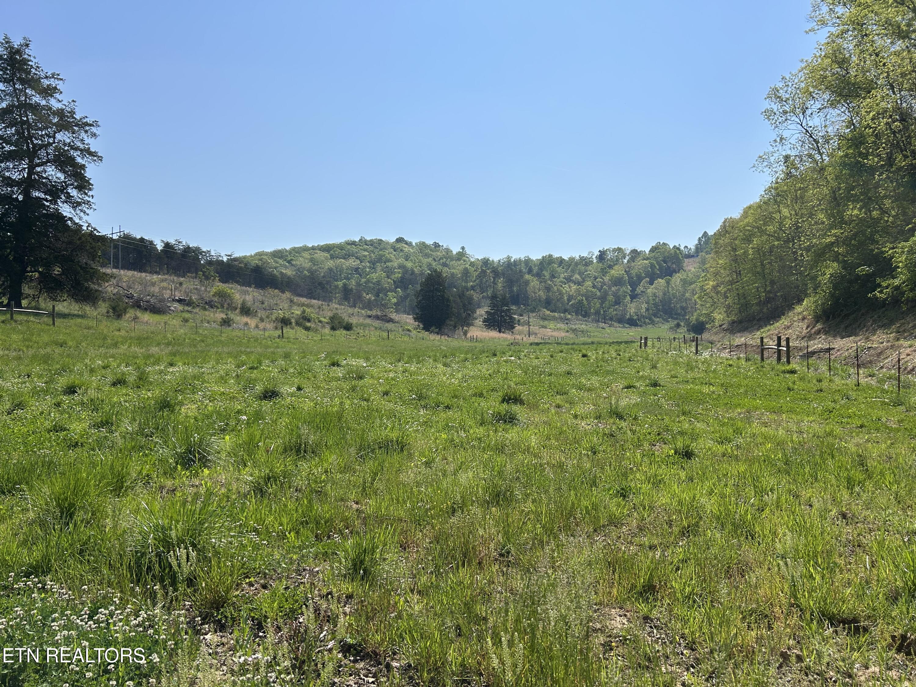 Trent Valley Rd Road Sneedville, TN 37869 - Photo 5 of 8 IMG_6197