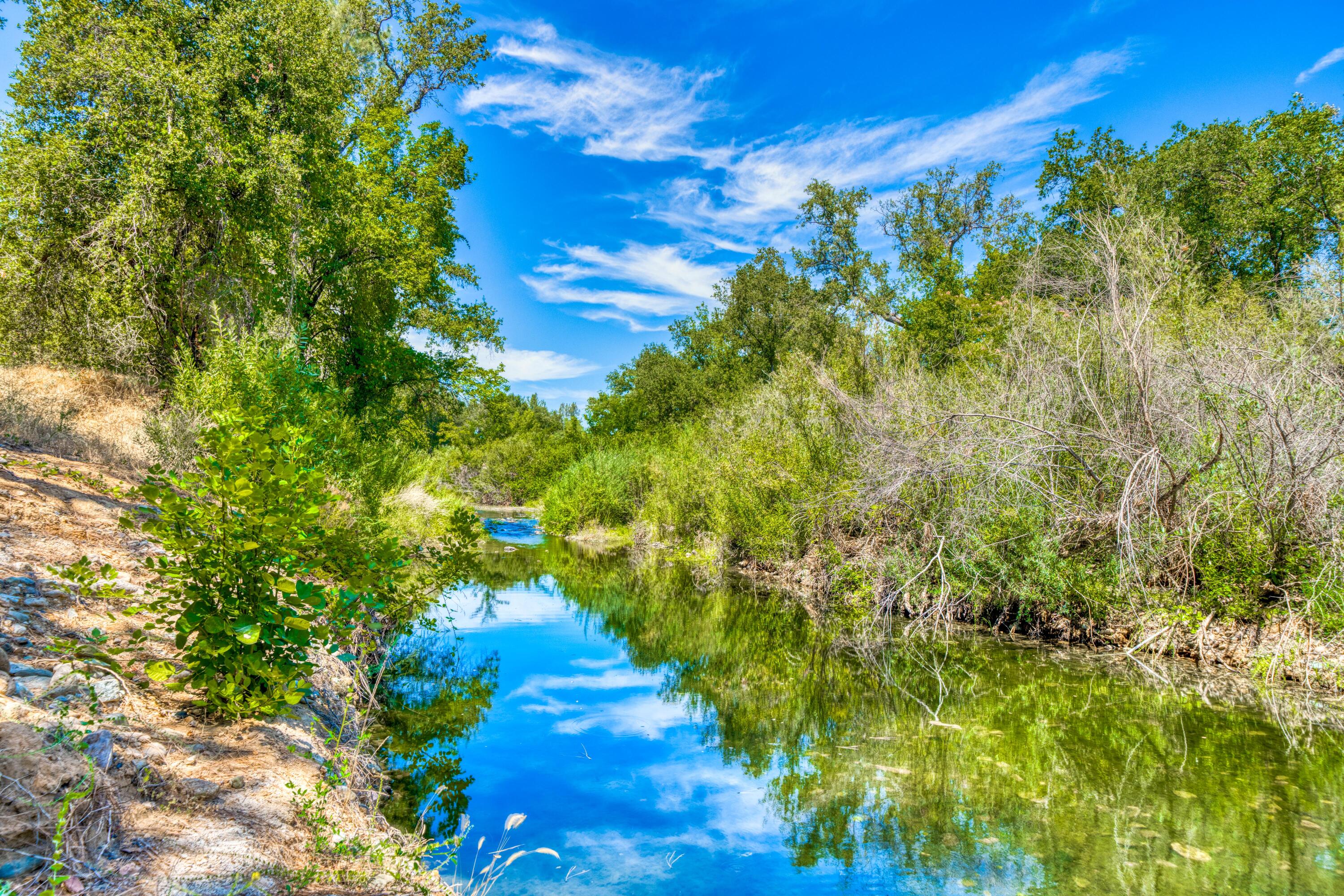 Creek