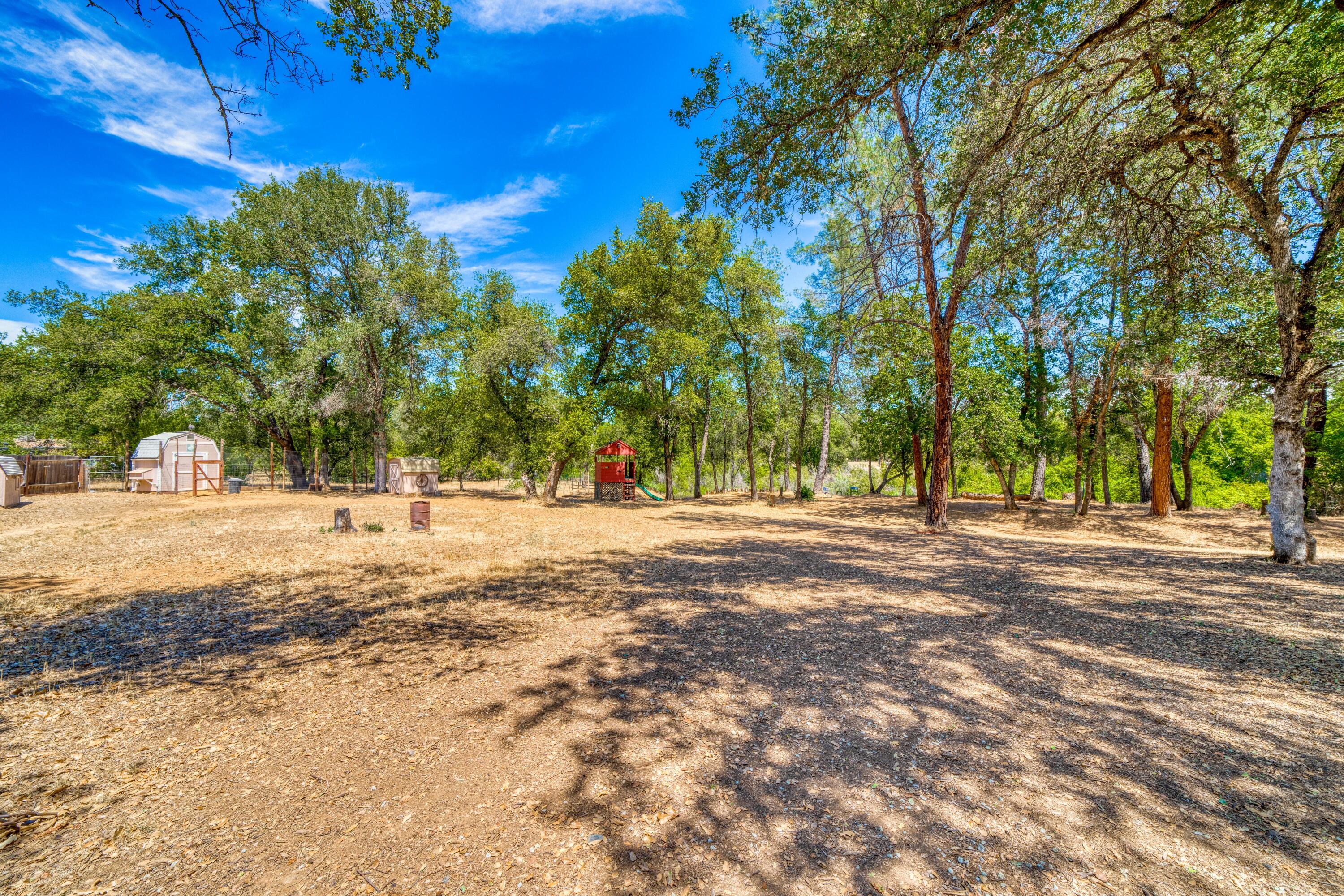 9851 Forgotten Trail Redding, CA 96003 - Photo 29 of 35 Back of property