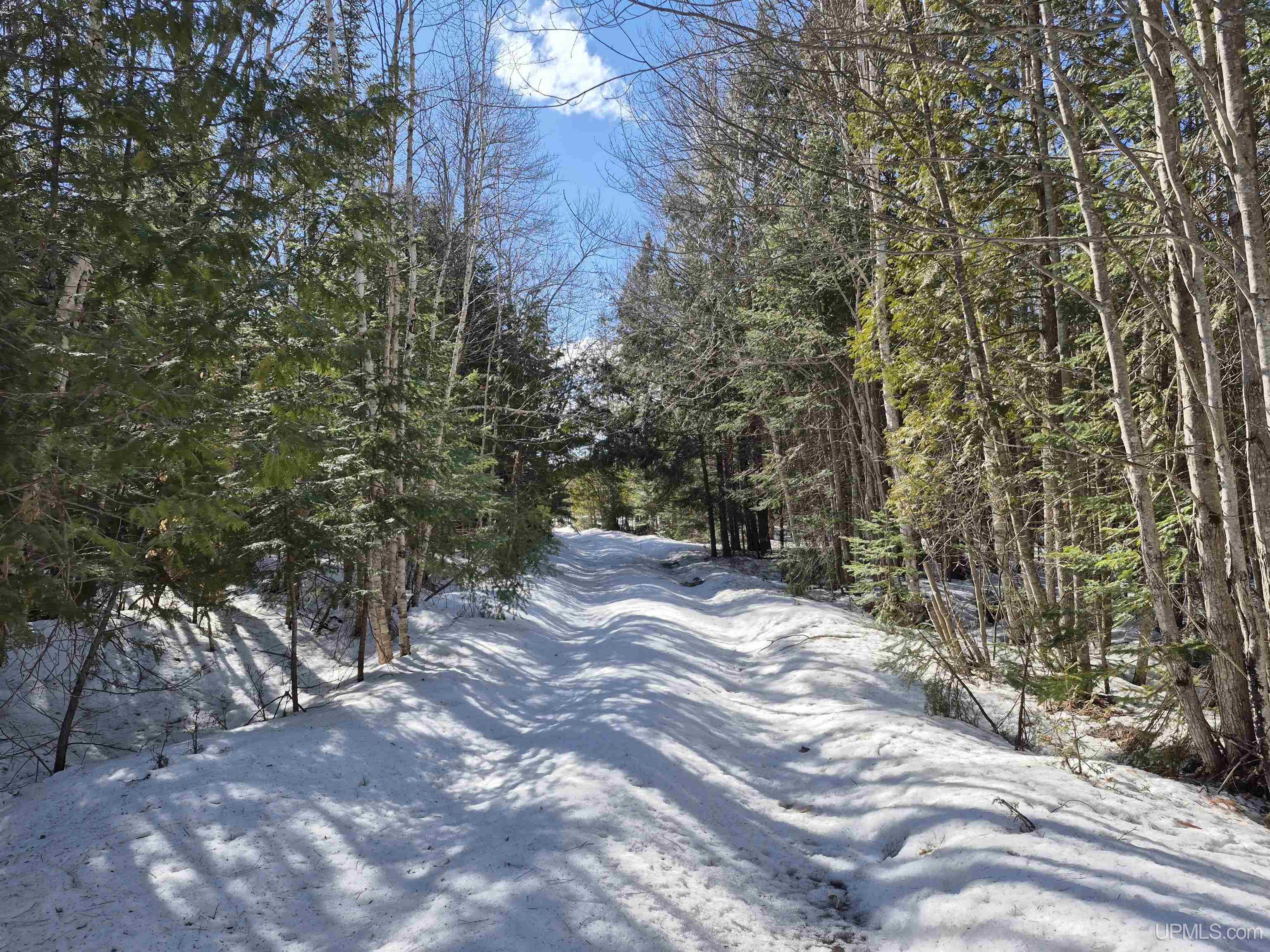 20-acres Off Flodin Road Manistique, MI 49854 - Photo 13 of 29