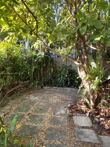 a view of a tree with a tree