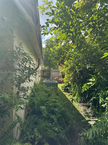 a plant that is in middle of the green field