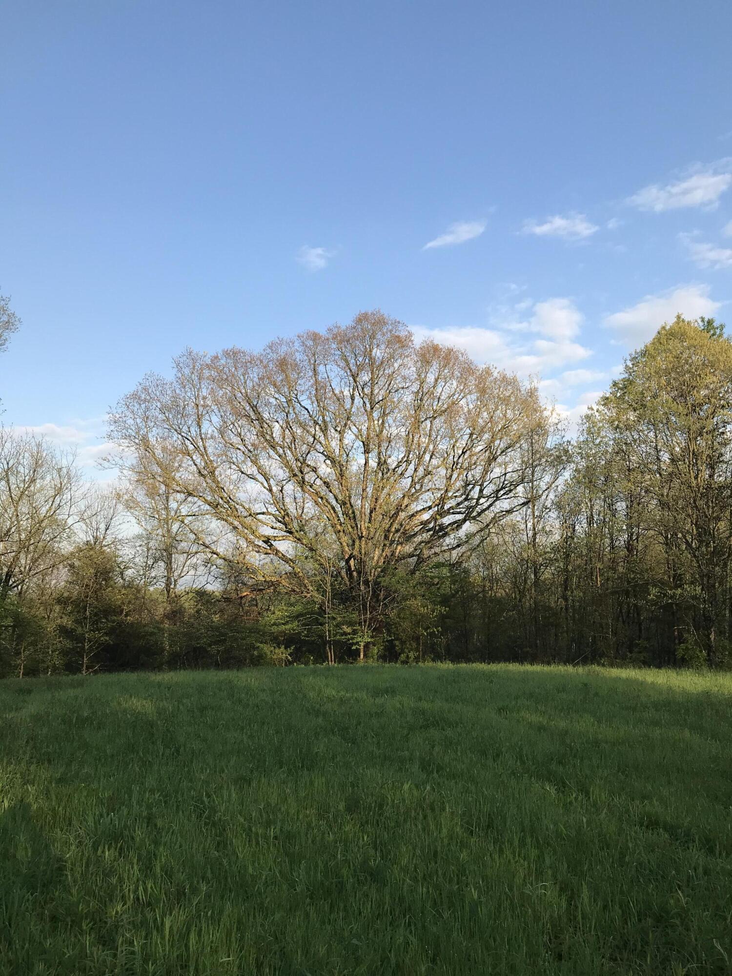 885 Log Lick Road Winchester, KY 40391 - Photo 2 of 39 IMG_3657