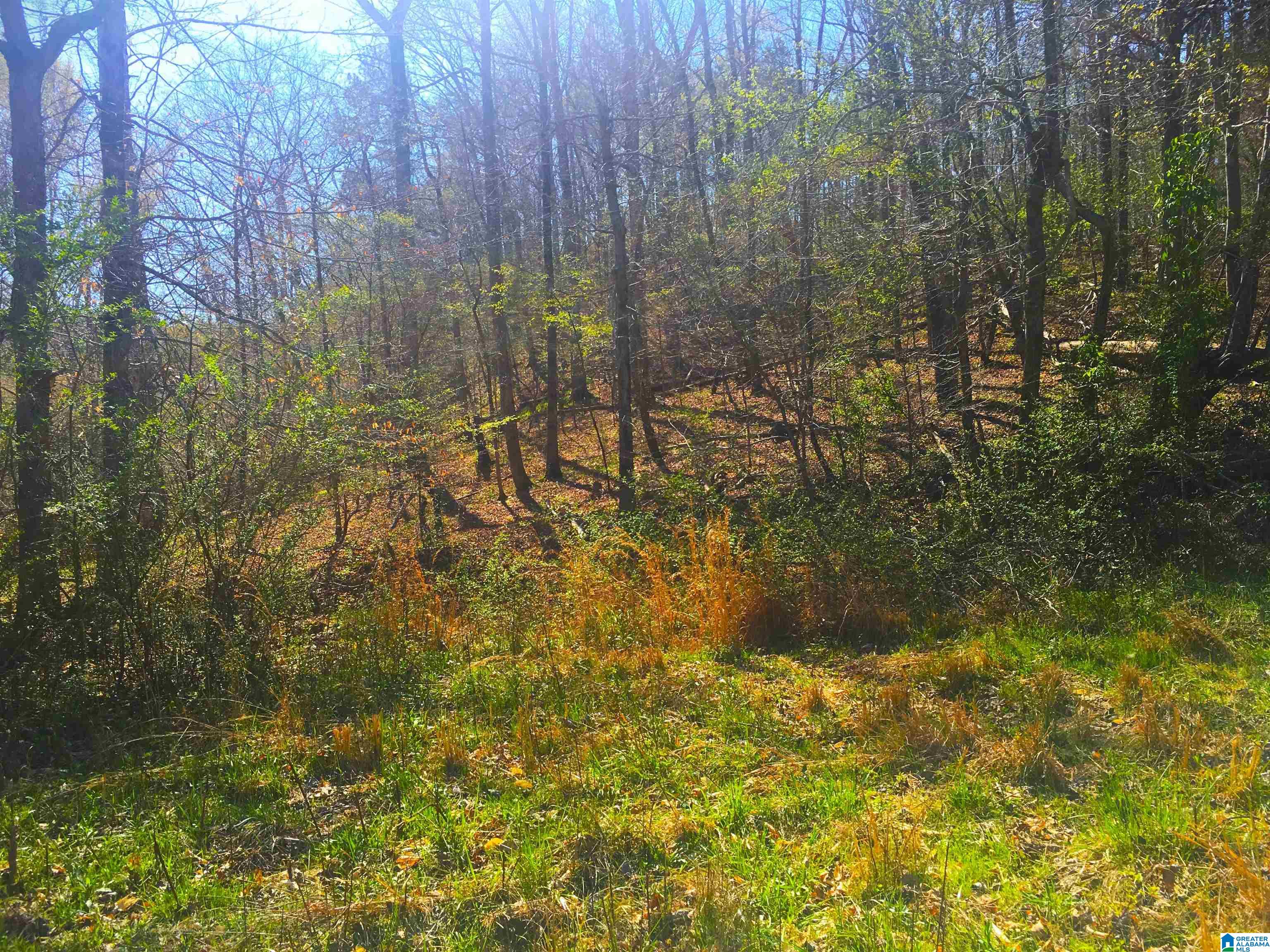 0 Fox Run, Unit 13 Oneonta, AL 35121 - Photo 2 of 3