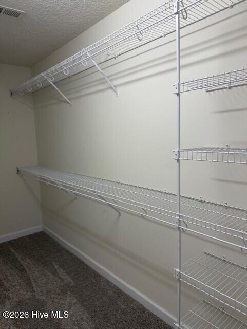 3100 Cranberry Ridge Drive Southwest Wilson, NC 27893 - Photo 21 of 29 Large walk-in closet