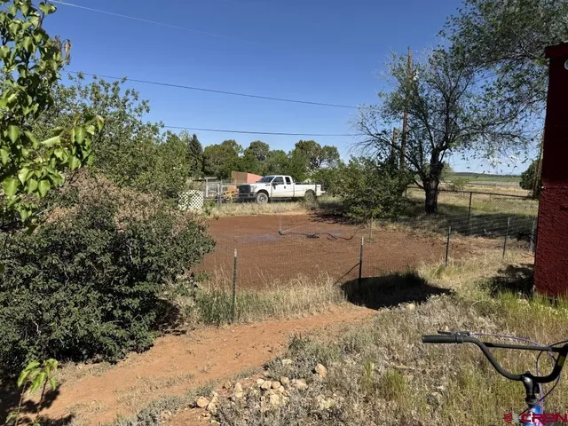 a view of a yard with a tree