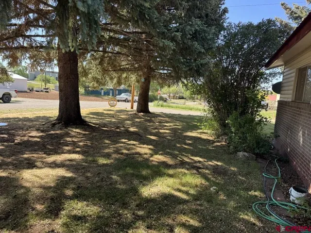 a view of a yard with trees