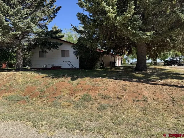 a backyard of a house with a large tree