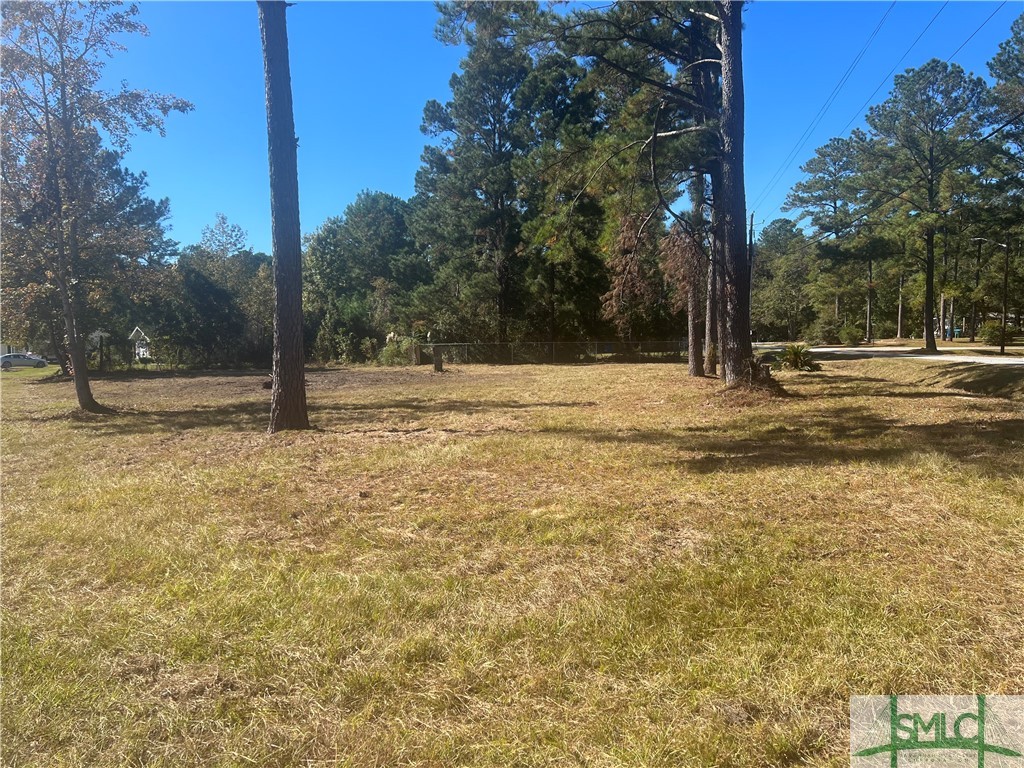 6 Talmadge Drive Rincon, GA 31326 - Photo 3 of 5