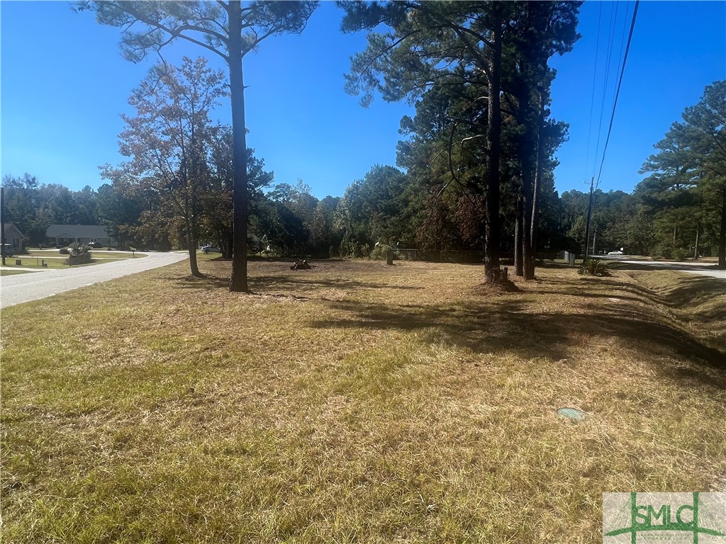 6 Talmadge Drive Rincon, GA 31326 - Photo 4 of 5