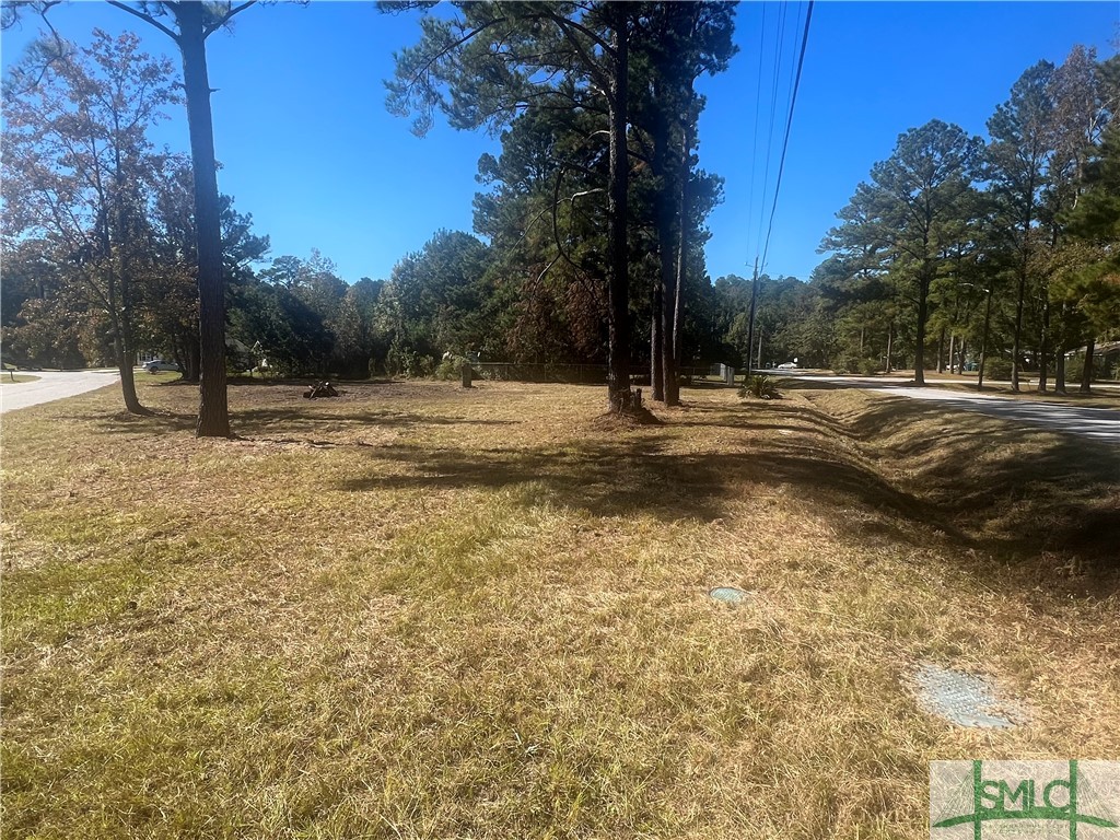 6 Talmadge Drive Rincon, GA 31326 - Photo 5 of 5