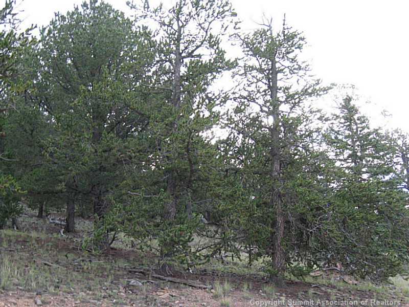 950 Bow String Road Como, CO 80456 - Photo 5 of 11 Land/Lot.