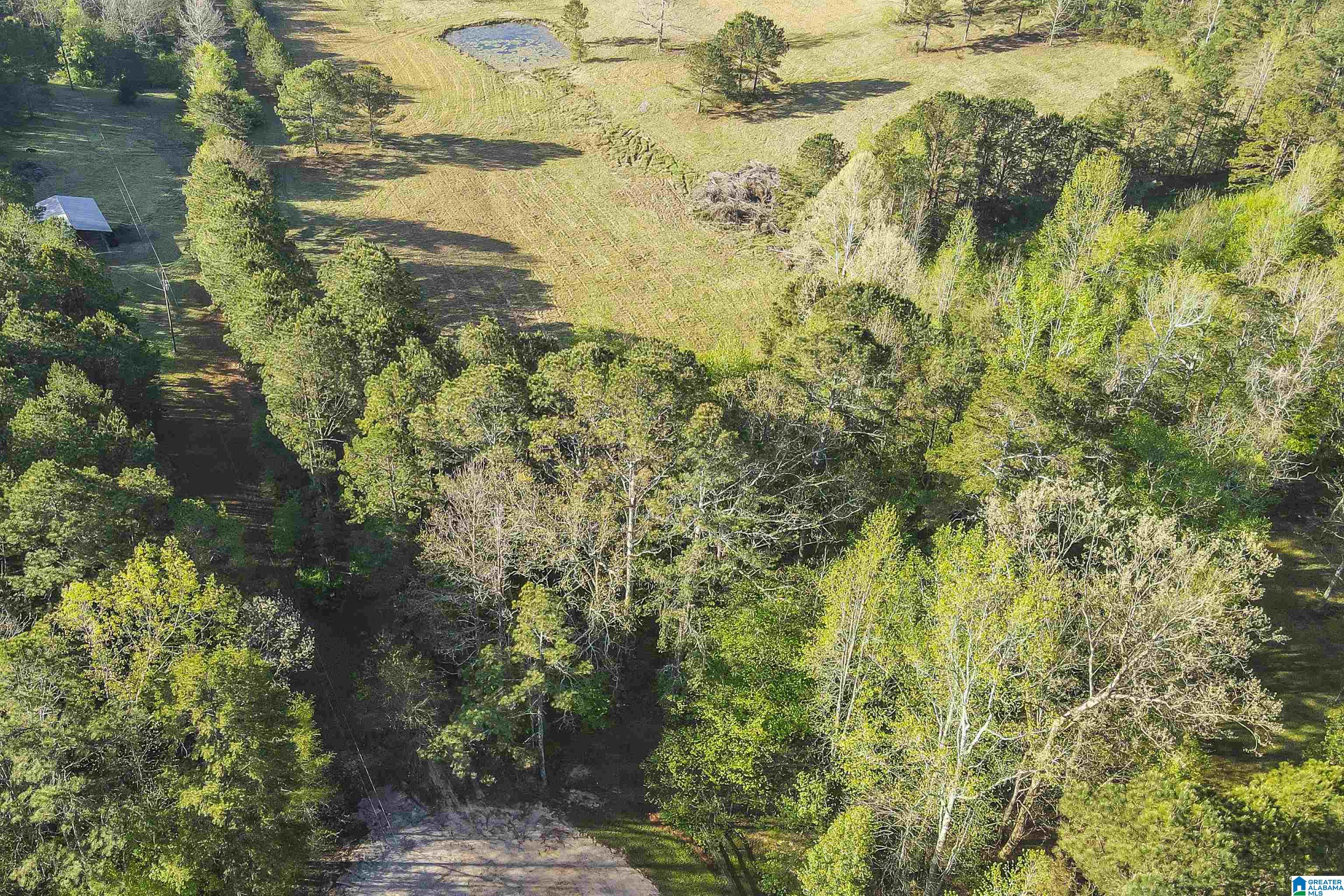 0 Stone Ridge Trail South, Unit 49 95 AC Anniston, AL 36207 - Photo 14 of 22
