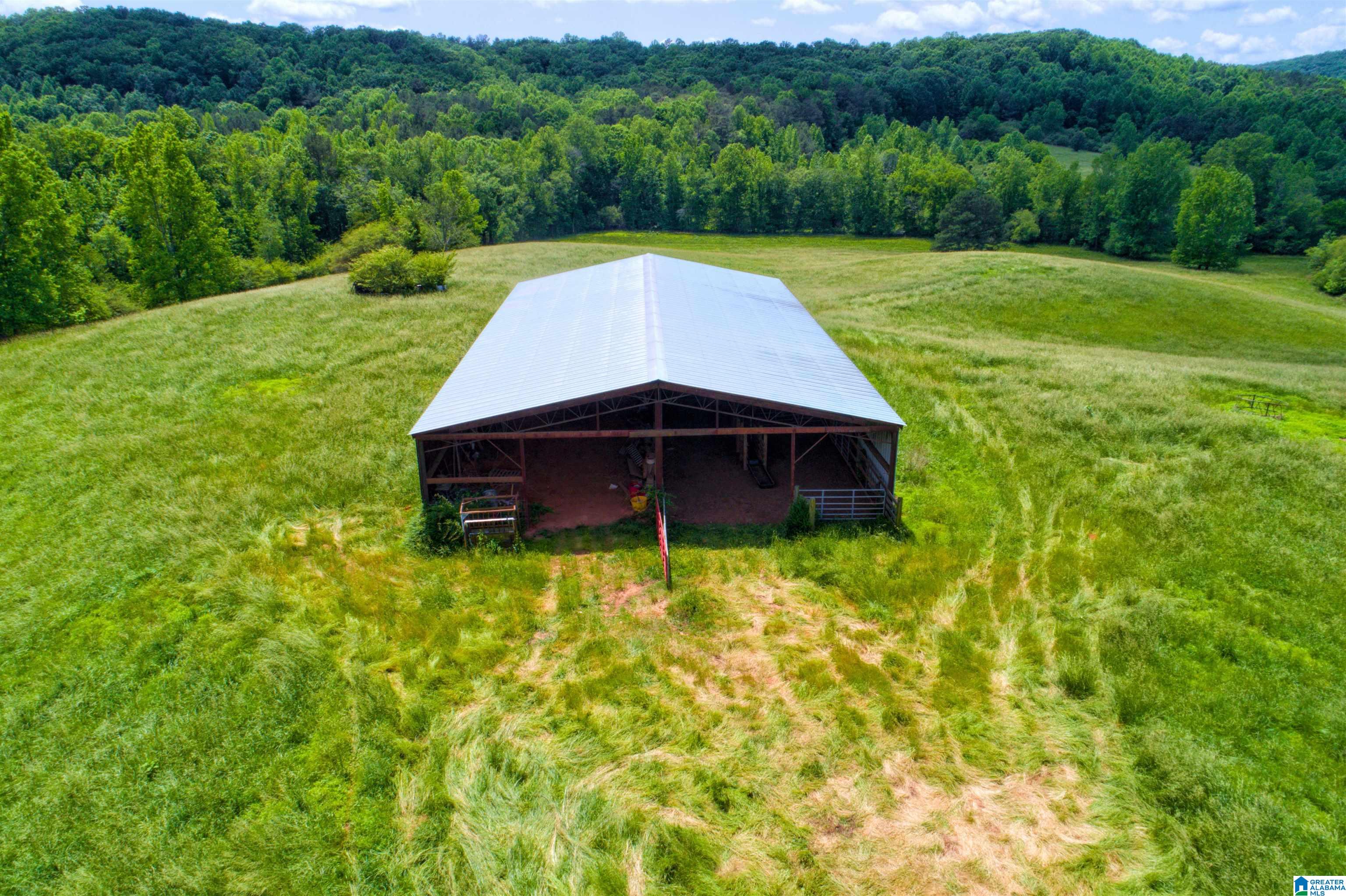 280 County Road 63 Ranburne, AL 36273 - Photo 42 of 43