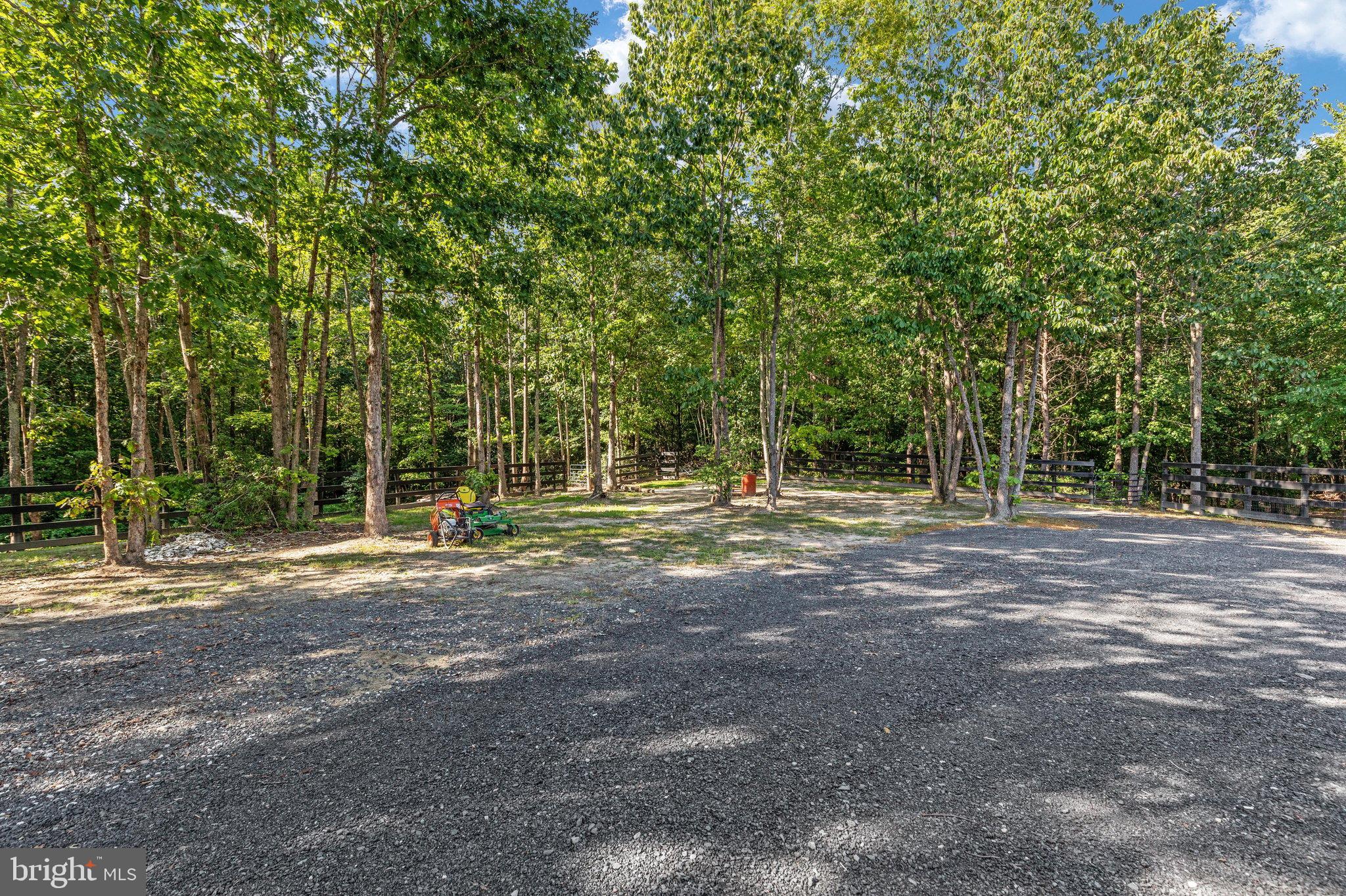0 Flat Iron Road Montross, VA 22520 - Photo 40 of 116 Serene wooded retreat with ample space.
