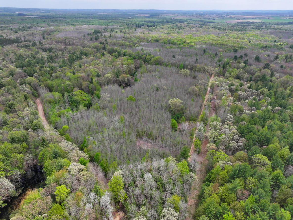 6.62 West Jefferson Road Pentwater, MI 49449 - Photo 6 of 21 DJI_20260512151506_0559_D