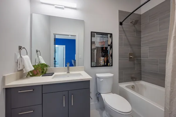 a bathroom with a sink a toilet a mirror a bathtub and shower