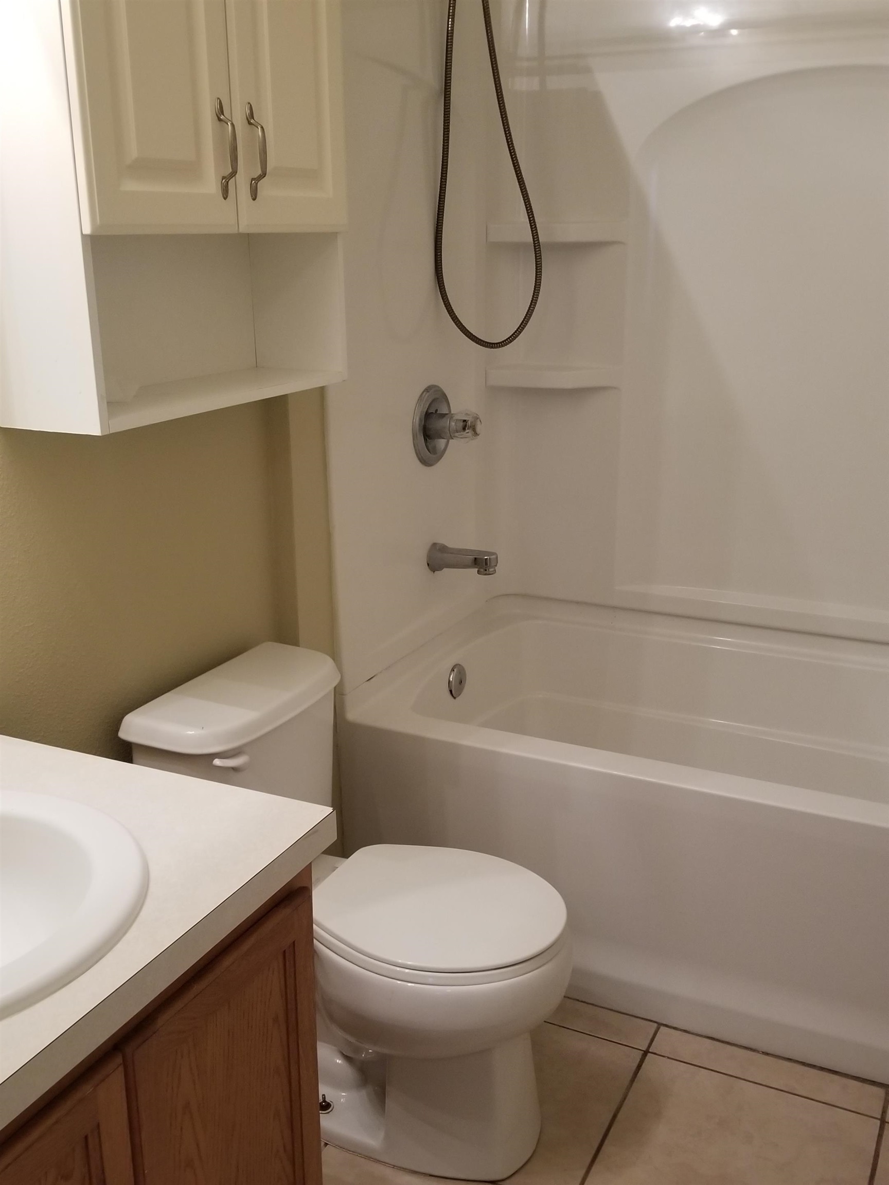137 Buck Run Way St. Augustine, FL 32092 - Photo 11 of 21 a bathroom with a sink a toilet and a shower