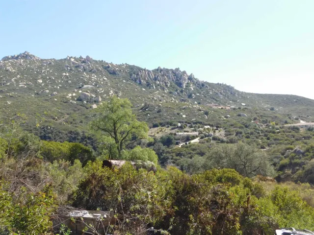 a view of a field of grass and trees
