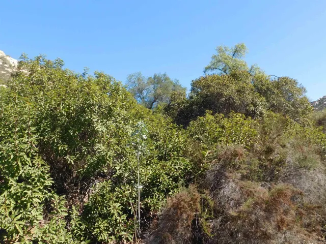 a view of a mountain with a outdoor space