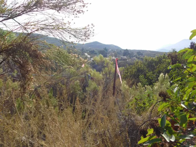 a view of a mountain in the distance in a field